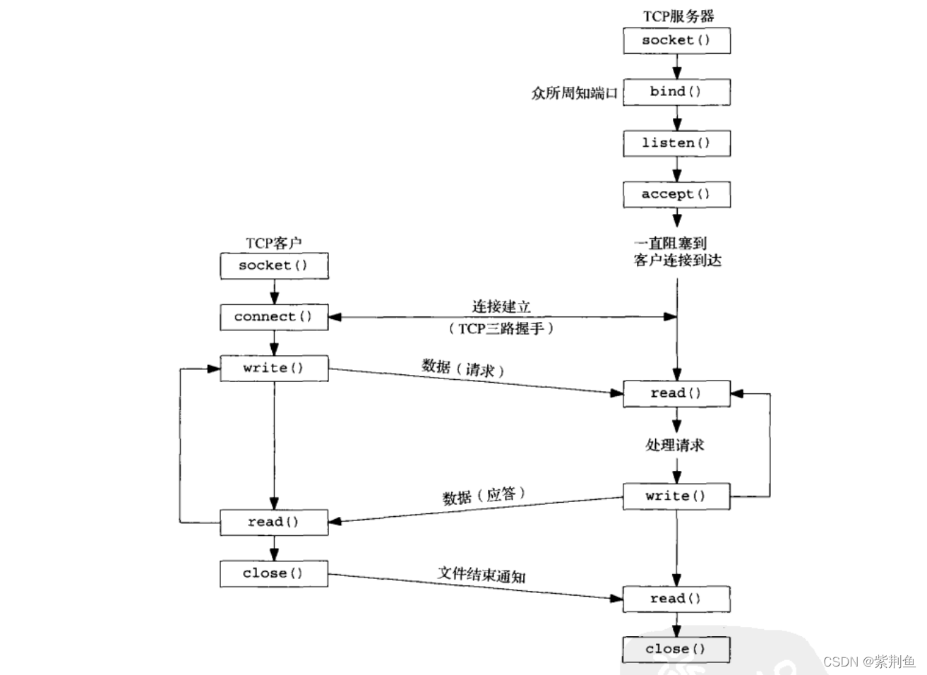 图为TCP报文交互